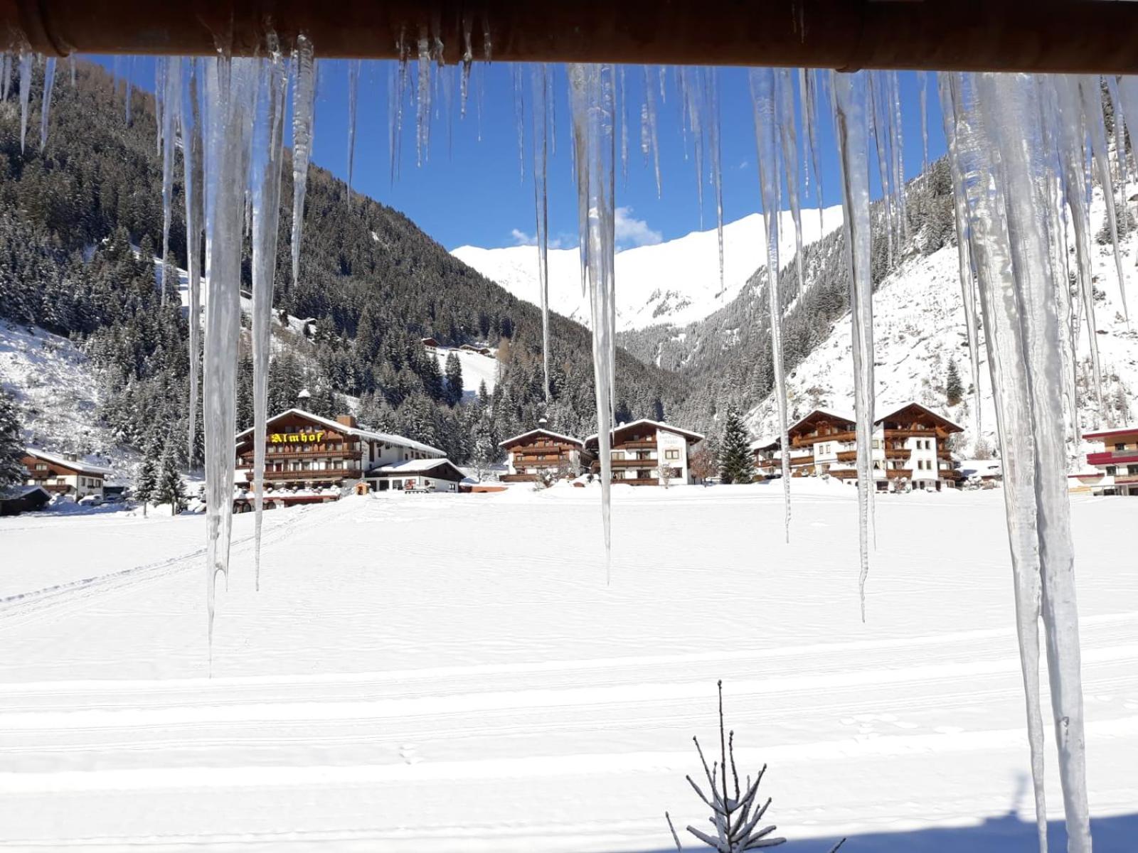Appartement Berghaus Martin à Neustift im Stubaital Extérieur photo